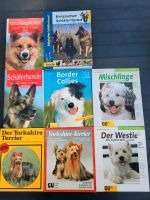 Verschiedene Rassehunde Bücher Bayern - Krumbach Schwaben Vorschau