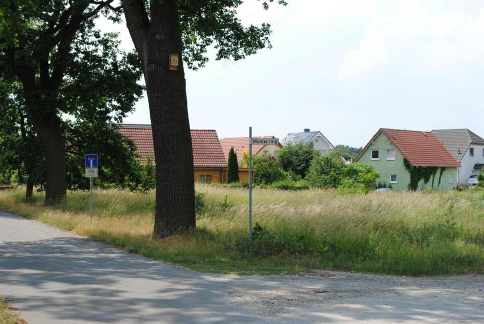 Flatow Baugrundstück im Norden Berlins in wundervoller Natur in Kremmen