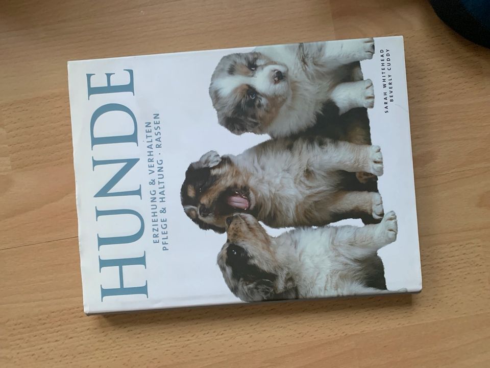 Hunde Buch top Zustand in Bad Wurzach