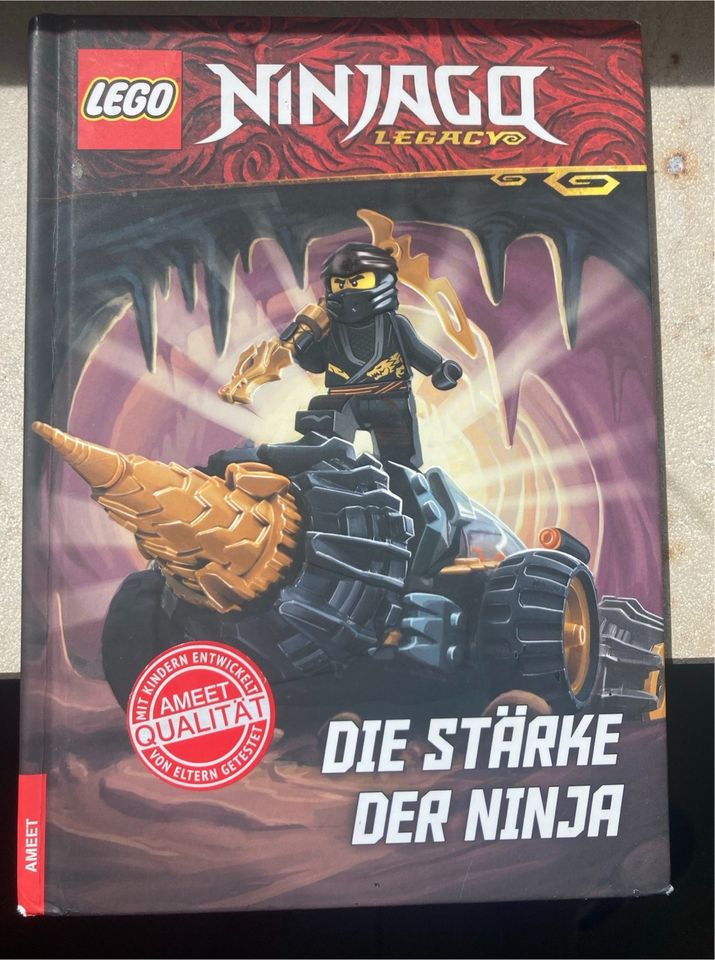 Lego Ninjago Buch - Die Stärke der Ninja in Fahrenzhausen