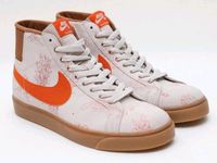 Nike SB BlazerCanvas Light Brown  - Neu 41 selten Sachsen-Anhalt - Magdeburg Vorschau