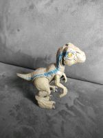 Baby Blue von Jurassic World Nordrhein-Westfalen - Goch Vorschau