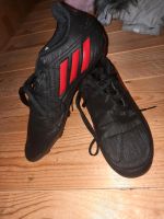 Fußballschuhe Niedersachsen - Westerstede Vorschau