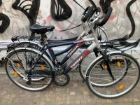 Trekkingrad 28" Herrenrad oder Damenrad 24 Gang Kettenschaltung Leipzig - Altlindenau Vorschau