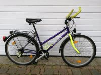 Herrenfahrrad Sachsen-Anhalt - Wolfen Vorschau