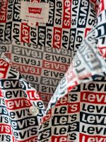 Levi's  Herrenhemd Gr. M Nordrhein-Westfalen - Horn-Bad Meinberg Vorschau