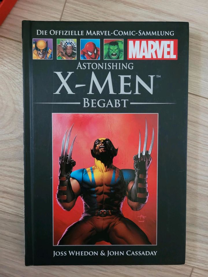 Marvel X- Men Begabt Buch in Espenau