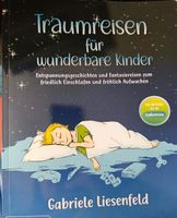 Traumreisen für wunderbare Kinder von Gabriele Liesenfeld Hessen - Brachttal Vorschau