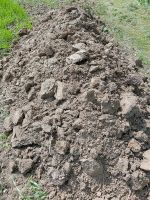 Mutterboden ca 30 Schubkarren frisch gegraben Nordrhein-Westfalen - Anröchte Vorschau