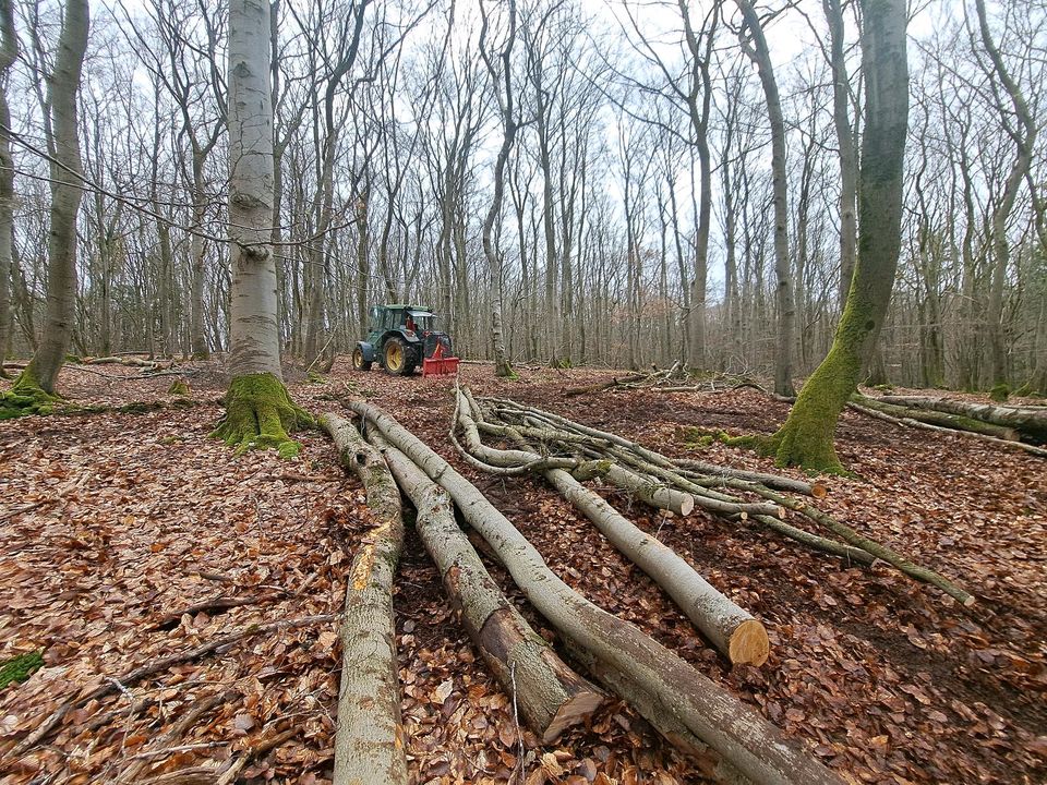 Holzeinschlag brennholz kegelspalter forstdienstleistungen in Bermel