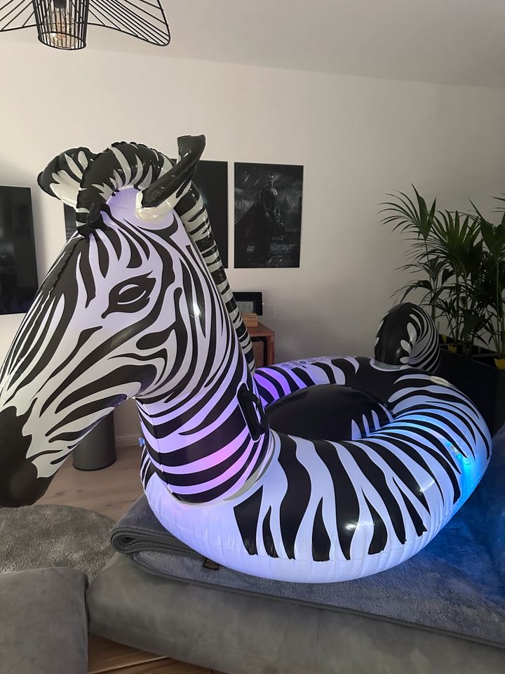 Schwimmtier Zebra mit LED! in Bad Soden am Taunus