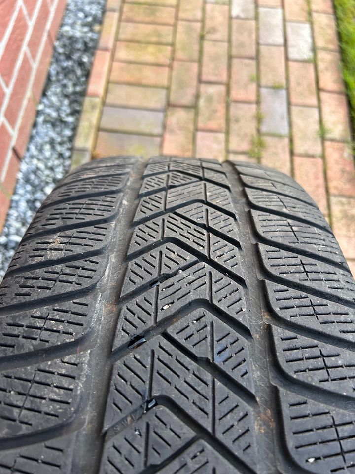 Pirelli Scorpion 255 40 R 21 102V, SUV Reifen, 6mm Profil in Ahlerstedt