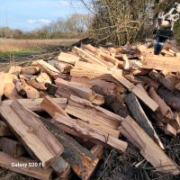 Kaminholz Brennholz 1m Stücke Buche, Eiche, Esche, Fichte Nordrhein-Westfalen - Hamm Vorschau