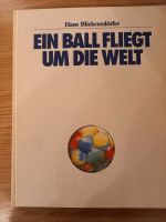 Ein Ball fliegt um die Welt Baden-Württemberg - Ertingen Vorschau