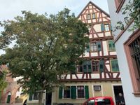 Bestlage in der Ladenburger Altstadt! Denkmalgeschütztes Wohn- und Geschäftshaus Baden-Württemberg - Ladenburg Vorschau