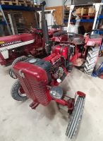 Reparaturen Traktor Schlepper IHC / Case / Steyr / McCormick ... Hessen - Dautphetal Vorschau