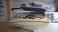 Quicksilver Activ 555 Cabin + Mercury F15 ELPT #Lagerboot Kiel - Hassee-Vieburg Vorschau