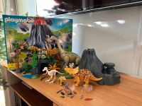 Playmobil Dinosaurier Sammlung Bayern - Kolbermoor Vorschau
