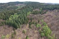 Waldgrundstück bzw. Forstgrundstück in der Eifel zum Kauf gesucht Köln - Widdersdorf Vorschau