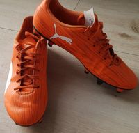 Fußballschuhe Puma Gr. 42 Niedersachsen - Bokensdorf Vorschau