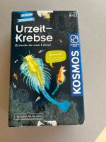 Urzeitkrebse züchten Kosmos mitbringspiel Nordrhein-Westfalen - Drolshagen Vorschau