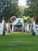 Große Vasen Pampas | Hochzeit | Verleih | Boho Deko ausleihen Hessen - Künzell Vorschau