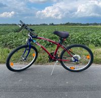 Fahrrad - Gebraucht Hessen - Rodgau Vorschau