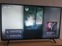 Medion Smart TV 40 Zoll Nordrhein-Westfalen - Mönchengladbach Vorschau