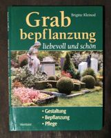 Grad Bepflanzung liebevoll und schön München - Hadern Vorschau