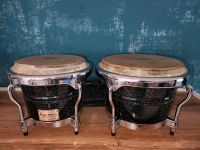 Bongos Tycoon Percussion Bayern - Bayreuth Vorschau