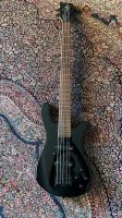 WARWICK ROCKBASS Streamer LX 5-String Brandenburg - Caputh Vorschau