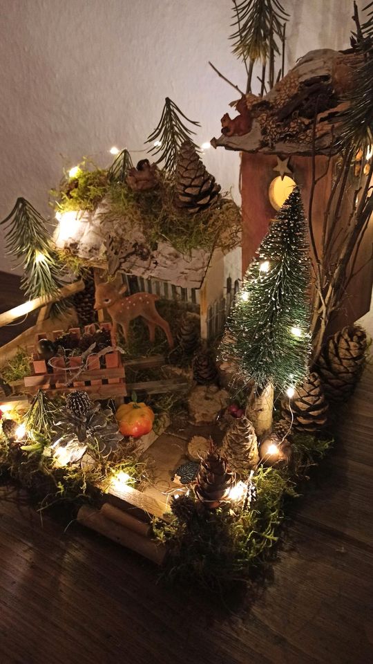 Wichtelhaus Wichteltür Weihnachtsdeko Feenhaus Gnom in Köln