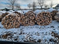 Brennholz Fichte Nordrhein-Westfalen - Nideggen / Düren Vorschau