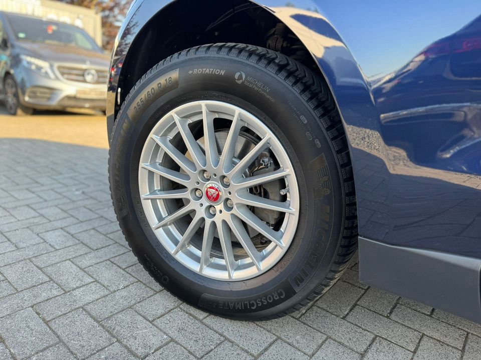 Jaguar F-PACE Pure AWD SHZ TEMPOMAT 1. Hand Scheckheft in Husum