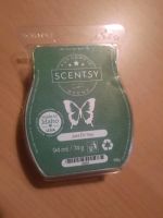 Scentsy Bar Just Fir You Baden-Württemberg - Denkingen Vorschau