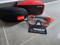 ALPINA Sonnenbrille HAWKEYE QV Bayern - Schrobenhausen Vorschau