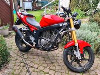 Hyosung gt 125 R/N Turbokit Auspuffanlage und Sturzbügel Nordrhein-Westfalen - Bad Salzuflen Vorschau