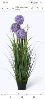 Blüten (Allium) mit Gräser ,künstlich ,LEDs und Timer Niedersachsen - Vechelde Vorschau
