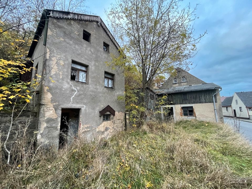 Zwei Häuser zum Preis von einer Garage mieten! in Pulsnitz