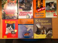 Bücherpaket Katzen Sachsen - Kesselsdorf Vorschau
