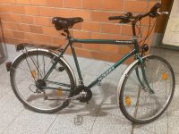 Fahrrad, 28 Zoll, Winora Thüringen - Bad Salzungen Vorschau