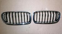 BMW 3er F30 F31 Kühlergrill Gitter Ziergitter  Grill links rechts Baden-Württemberg - Neckarbischofsheim Vorschau