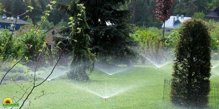 Gartenbewässerung von Hunter / Beregnung / Bewässerung in Celle