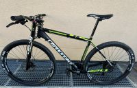 Cannondale Lefty F29 XL 29 Zoll Bayern - Rottenburg a.d.Laaber Vorschau