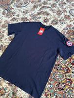 Marken tshirts / pro Stück 25€ / von S-L Nordrhein-Westfalen - Porta Westfalica Vorschau