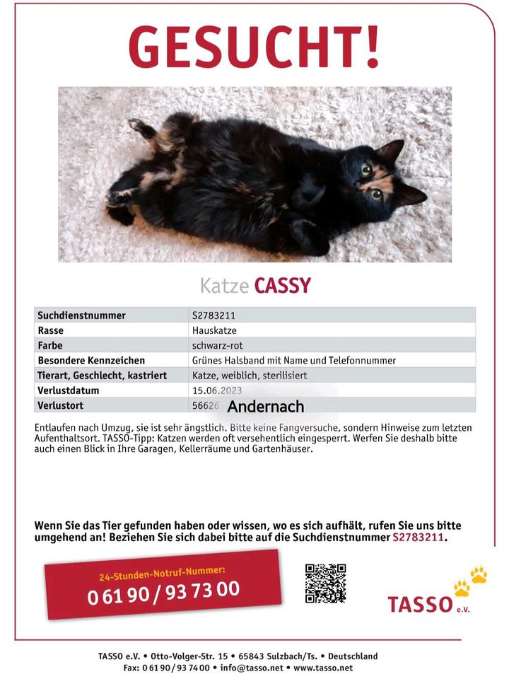 ❗️‍⬛❗️‍⬛❗️KATZE VERMISST❗️‍⬛❗️‍⬛❗️ in Hausen (Wied)