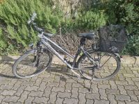 Trekking Fahrrad Hessen - Bensheim Vorschau