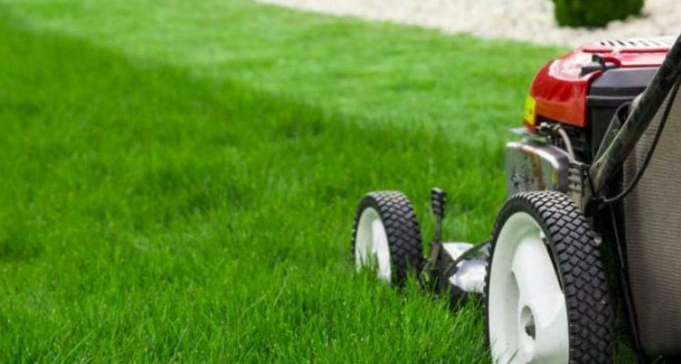 Rasenpflege/Greenkeeping (Rasen mähen/Rasenschnitt/Vertikutieren) in Lübbecke 