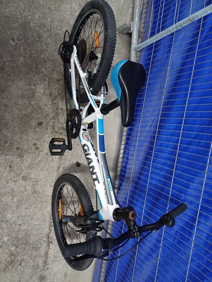 Giant 20 Zoll Jugendrad RH 28 Cm Mountainbike in Berlin