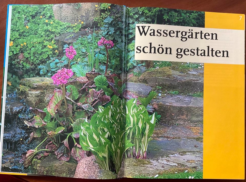 Gartenteiche gestalten in Geisenheim